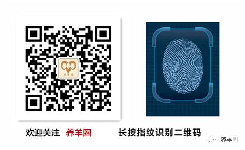 母羊用什么可以补硒(给羊补硒用什么药)-硒宝网