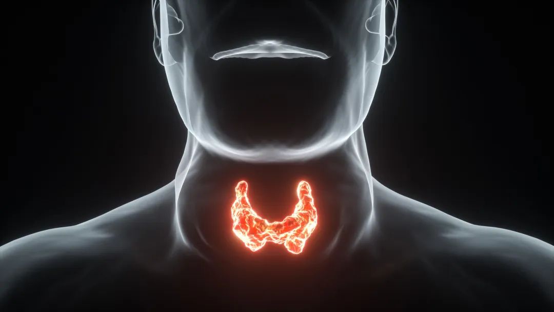 甲状腺结节能补硒嘛(甲状腺结节补硒)-硒宝网