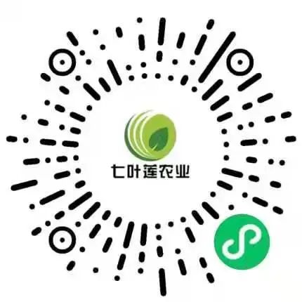 抗癌主要需要补硒吗(抗癌补硒药)-硒宝网