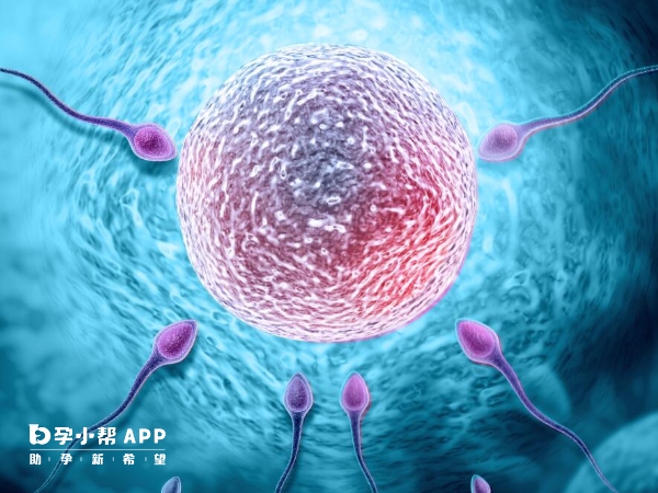 补钙针多少钱一针（补钙针贵吗）-硒宝网