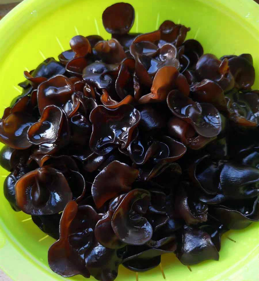 什么食物可以补铁(补铁能干嘛)-硒宝网