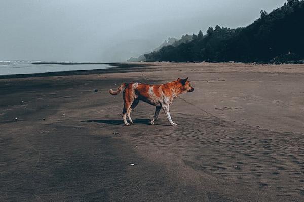 人生需要终身补硒吗(人需要长期补硒吗)-硒宝网