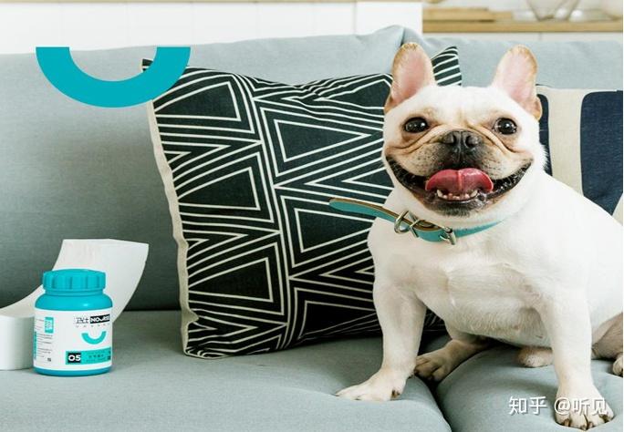 狗狗需要补钙吗（狗狗补钙需要吃什么）-硒宝网