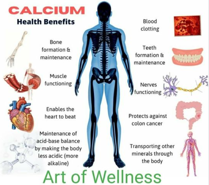 老年人怎样补钙（补钙老年人吃什么食物最好最快）-硒宝网