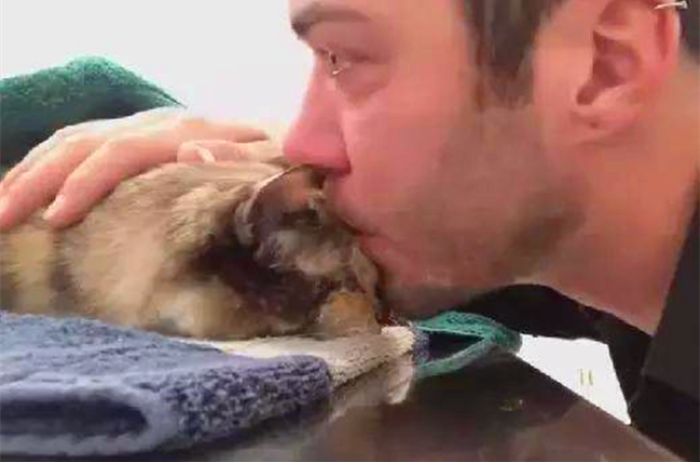 猫咪补钙(猫咪补钙最简单的方法)-硒宝网