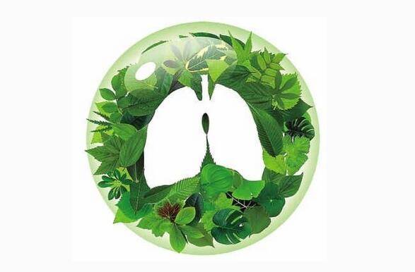 肺癌需要单独补硒吗(肺癌补硒一天多少)-硒宝网