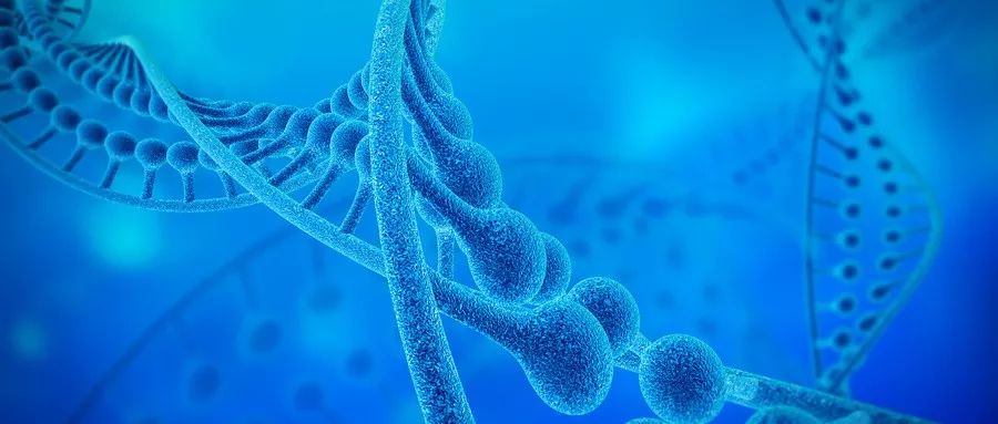 癌症中晚期补硒有用（癌症晚期补硒能让肿瘤消失吗）-硒宝网