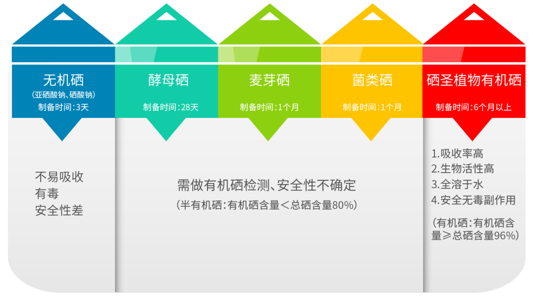 癌症中晚期补硒有用（癌症晚期补硒能让肿瘤消失吗）-硒宝网