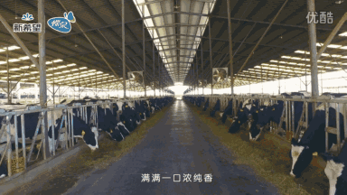 补钙什么最好(补钙好处和坏处)-硒宝网