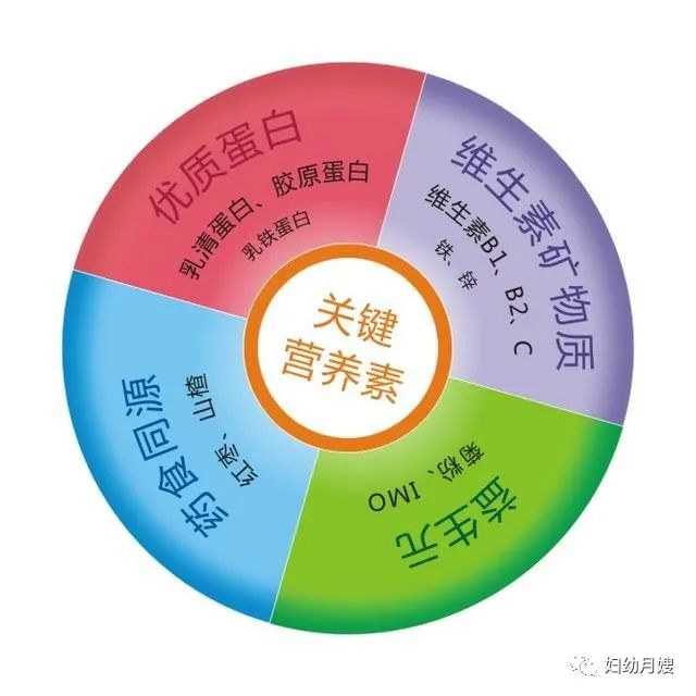 微量元素需要空腹吗(空腹微量元素需要空腹多久)-硒宝网