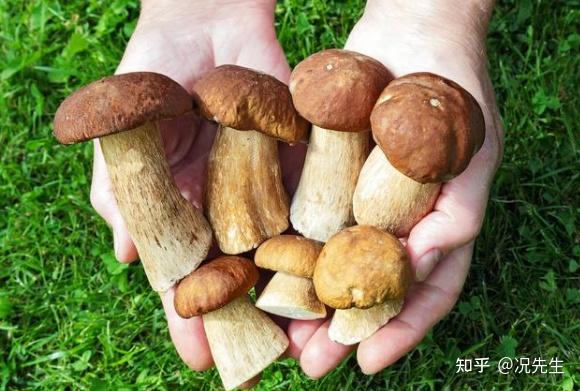 甲状腺病补硒吃多少(甲状腺吃补硒的药)-硒宝网