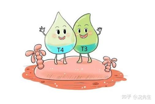 甲状腺病补硒吃多少(甲状腺吃补硒的药)-硒宝网