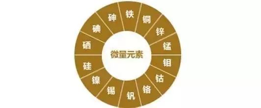 查儿童微量元素挂什么科(儿童微量元素挂哪科)-硒宝网