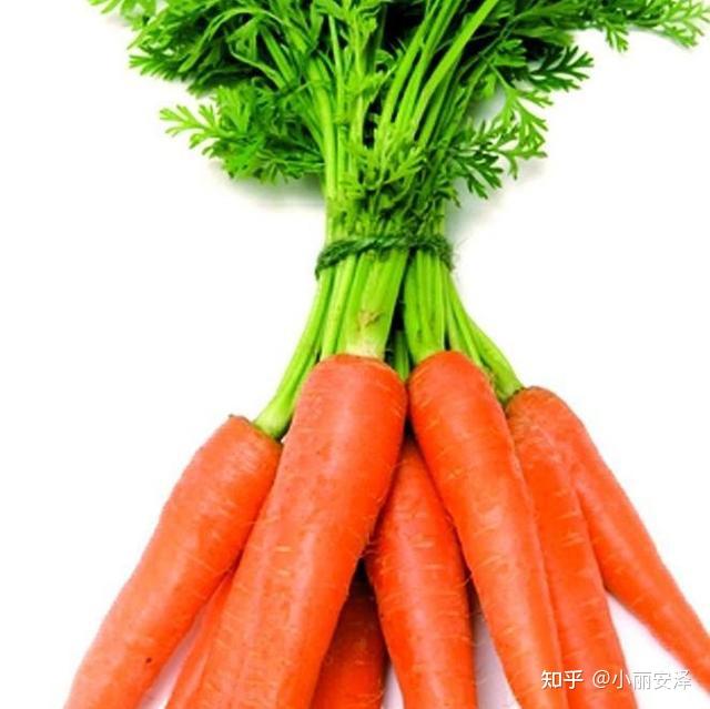 微量元素的食物（食物微量元素）-硒宝网