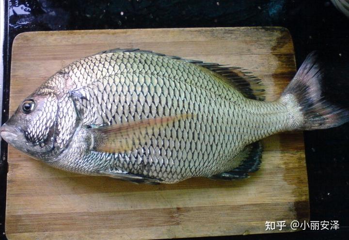 微量元素的食物（食物微量元素）-硒宝网