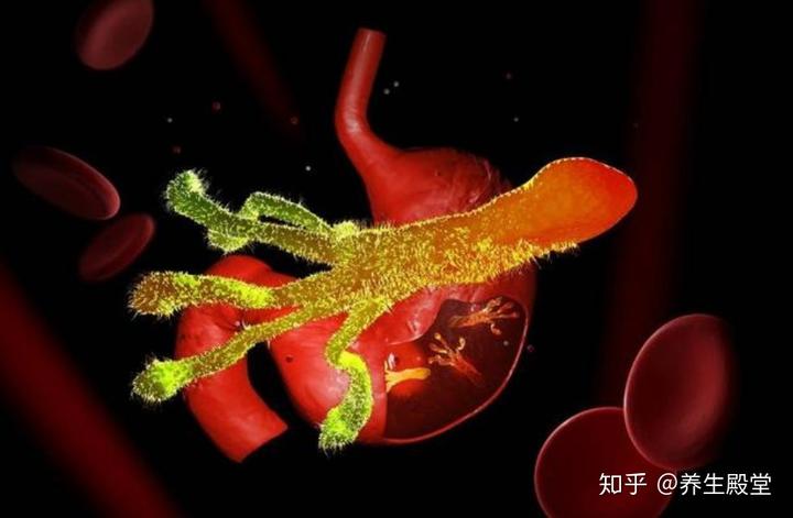 老人胃不好怎样补硒（老人要补硒推荐一款药品）-硒宝网