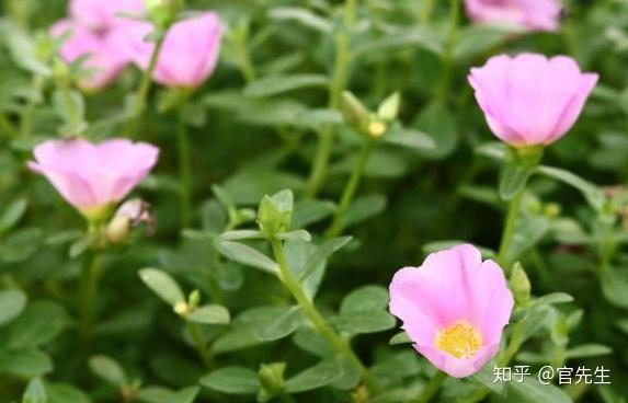 甲状腺病补硒吃多少(甲状腺吃硒管用吗)-硒宝网