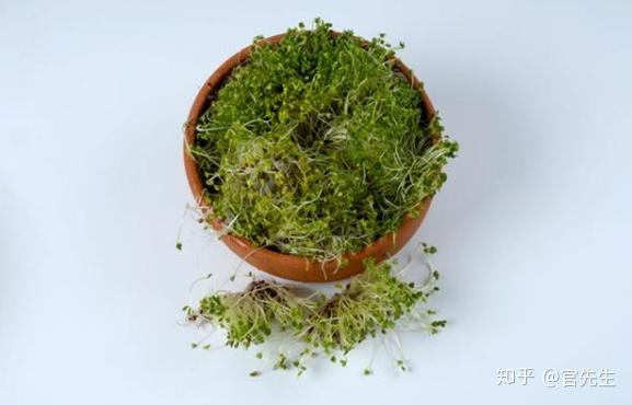 甲状腺病补硒吃多少(甲状腺吃硒管用吗)-硒宝网