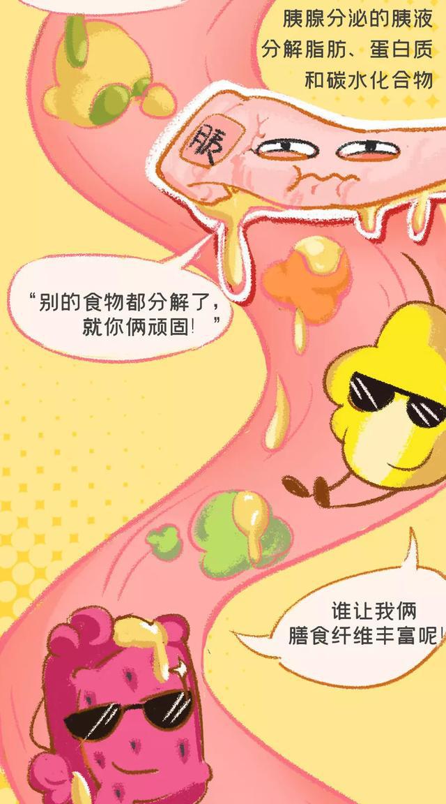 老人胃不好怎样补硒（老年人补硒的重要性）-硒宝网