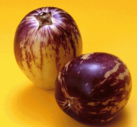 什么中药能补硒元素（中药能补元素硒元素吗）-硒宝网