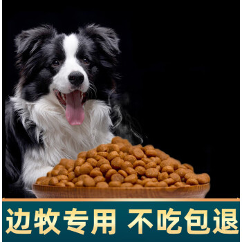 狗狗补钙吃什么（狗狗补钙吃什么好）-硒宝网