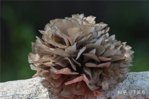 肝硬化腹水怎么补硒（肝硬化补腹水硒的作用）-硒宝网