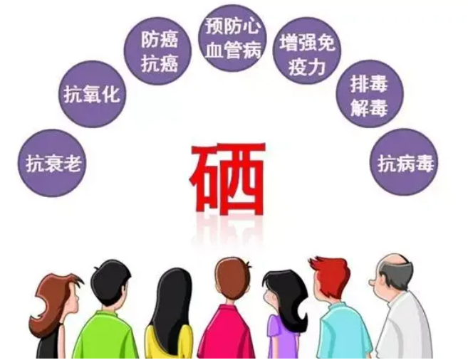 市面最好的补硒产品（补硒产品哪个好）-硒宝网