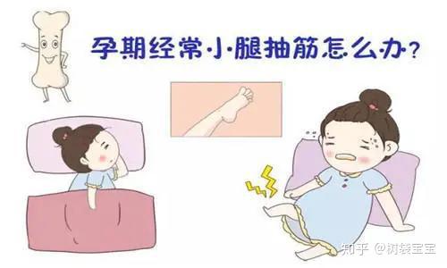 孕期什么时候补钙(孕期补钙时候吃什么好)-硒宝网