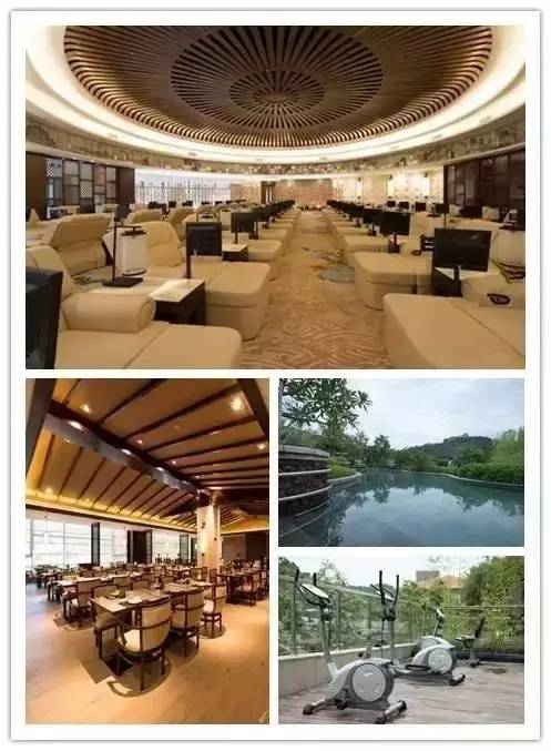 国内三大品牌微量元素检查仪(微量元素仪器品牌)-硒宝网