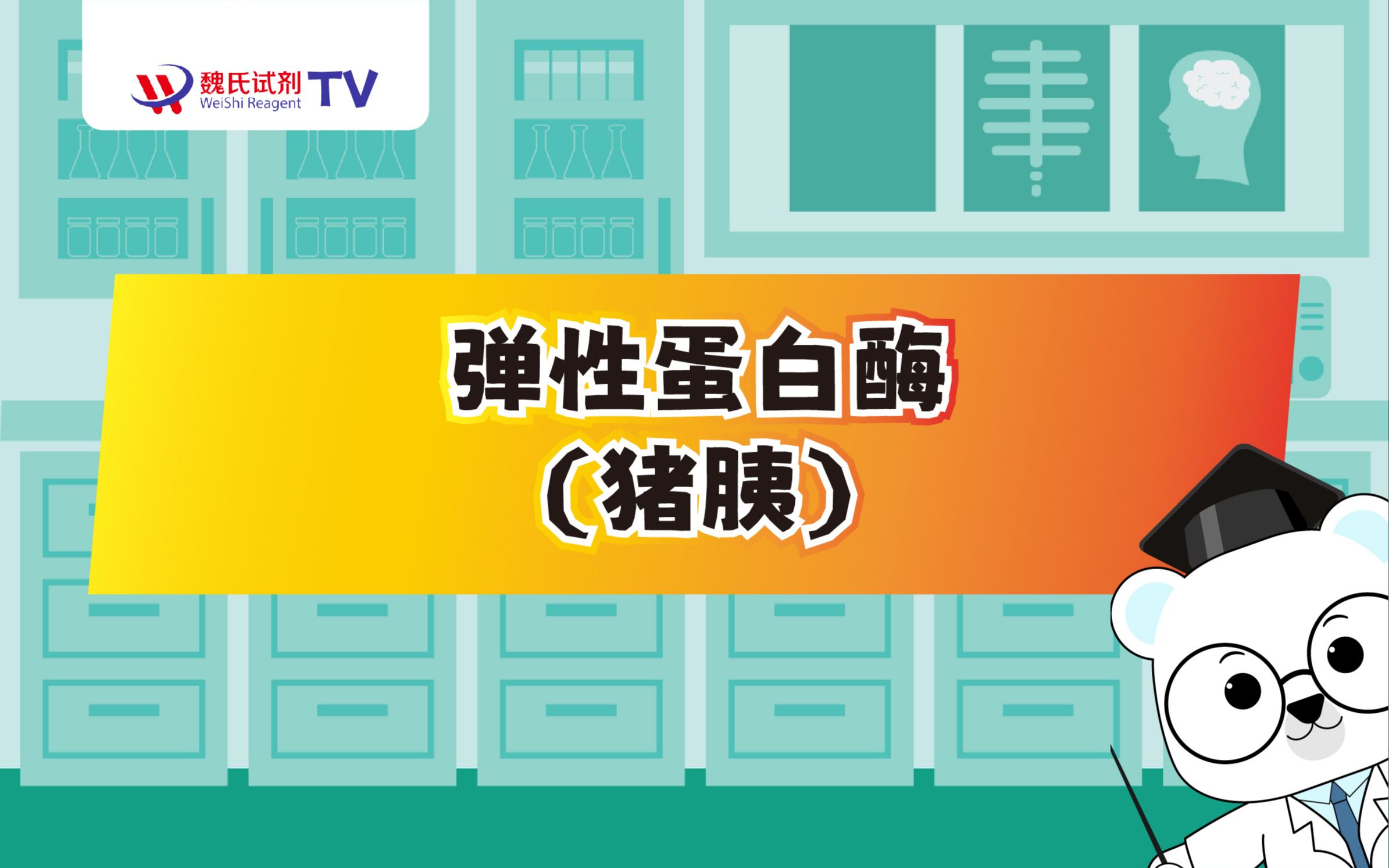 微量元素6项(微量元素项目介绍)-硒宝网