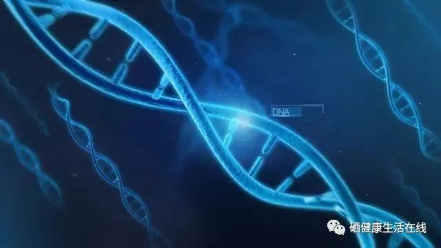 健康人 可以补硒吗(硒可以随便补充吗)-硒宝网