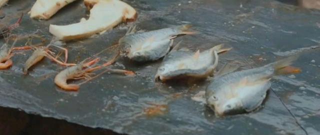 儿童补钙的食物（孩子补钙食品）-硒宝网