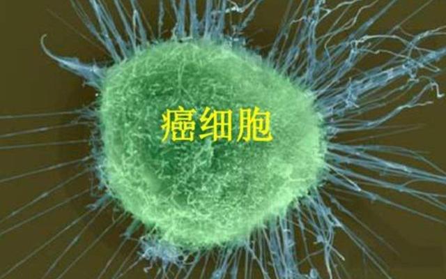 身体缺硒怎么补最好(身体缺硒吃什么可以补)-硒宝网