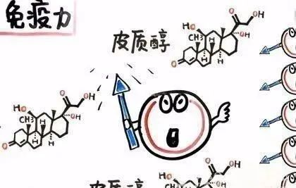 补硒元素吃什么最好(补硒元素吃什么药)-硒宝网