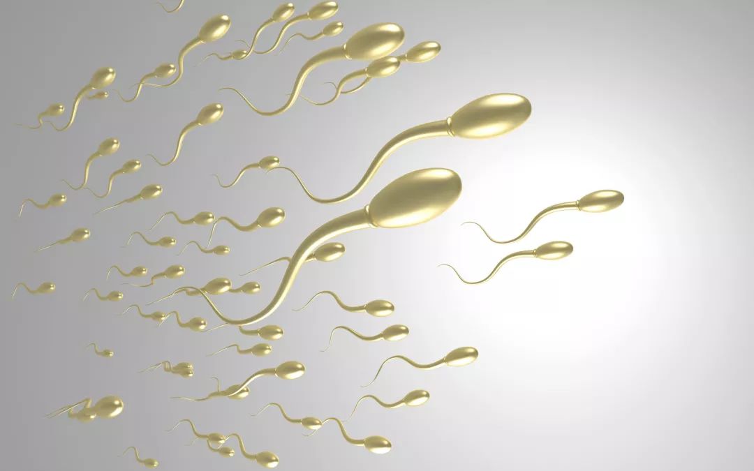 人体补硒有哪些好处(好处人体补硒有哪些食物)-硒宝网