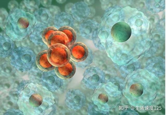 服药期间可以补硒吗(吃药期间可以吃硒片吗)-硒宝网