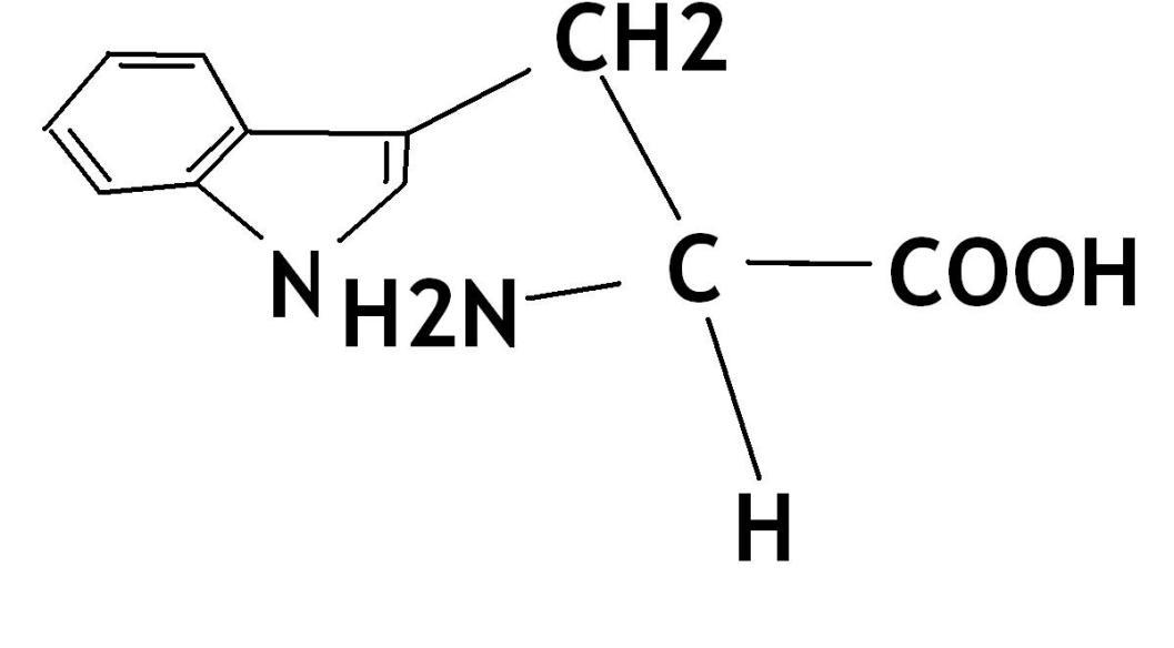玫瑰痤疮可以补硒吗(玫瑰痤疮能吃维生素e吗)-硒宝网