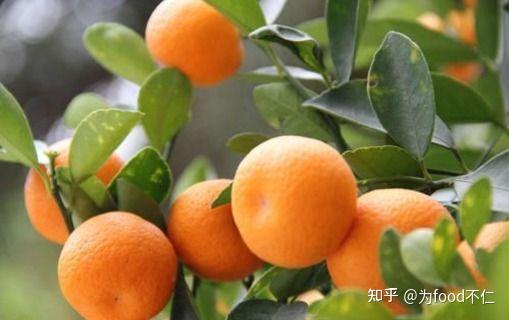 补铁会促进睡眠吗（补铁会导致失眠吗）-硒宝网