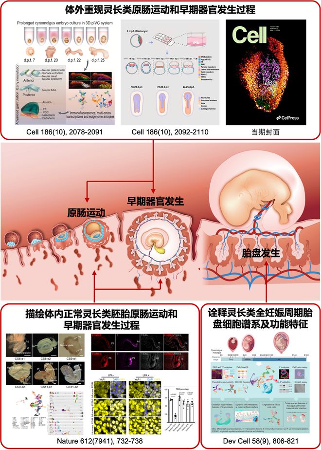 补铁会促进睡眠吗(补铁睡眠会改善吗)-硒宝网