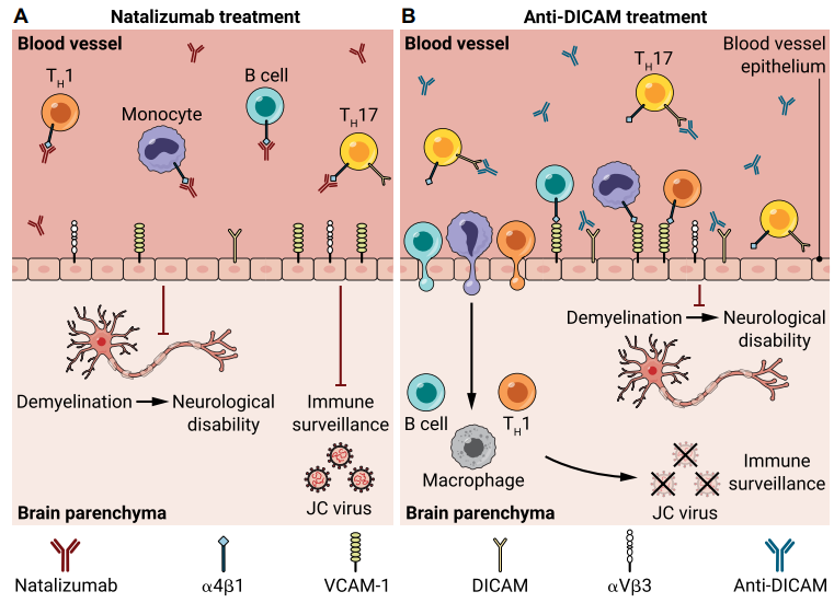 补铁会促进睡眠吗(补铁睡眠会改善吗)-硒宝网