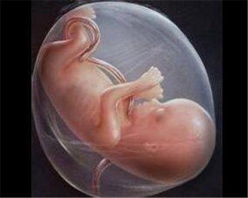 什么东西补钙最好(补钙的好东西)-硒宝网