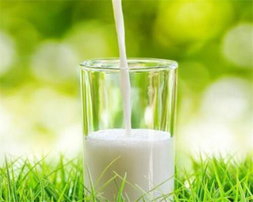 什么东西补钙最好(补钙的好东西)-硒宝网