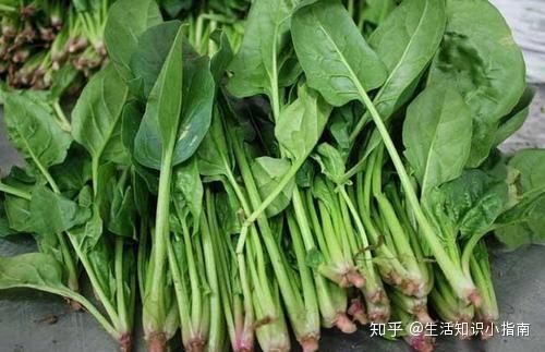 补钙怎么补（补补钙的食物有哪些）-硒宝网