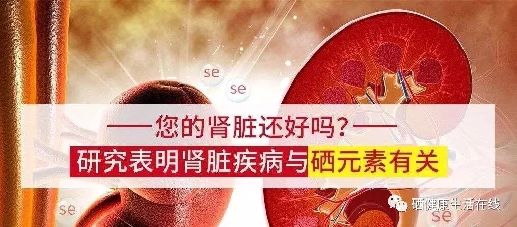 肾脏不好可以补硒吗(硒可以补肾吗)-硒宝网