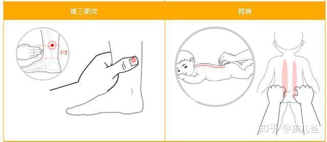 补铁的药物(药物补铁吃多久见效)-硒宝网