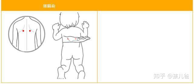 补铁的药物(药物补铁吃多久见效)-硒宝网