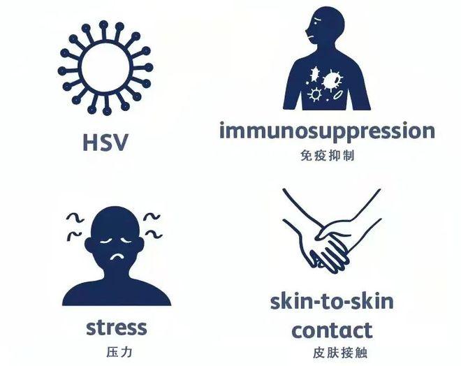 单纯疱疹补硒酵母片(单纯疱疹补硒酵母片)-硒宝网