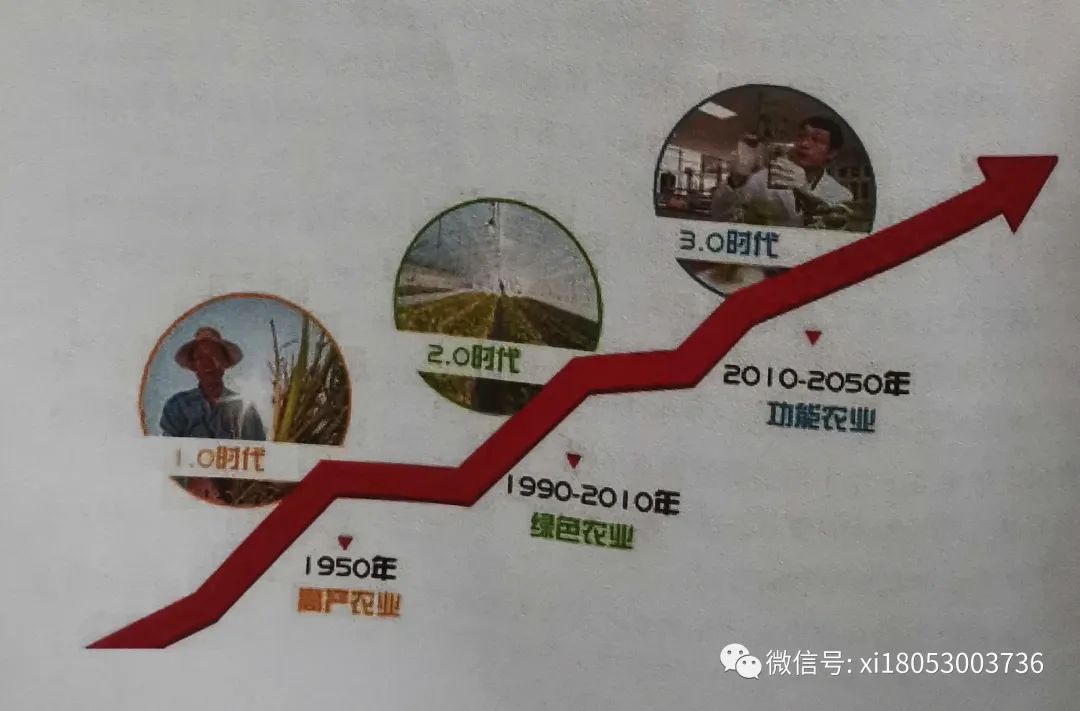 山东地区需要补硒吗(补山东地区需要硒元素吗)-硒宝网