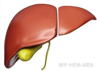 乙肝肝硬化患者补硒(肝硬化能补硒吗)-硒宝网