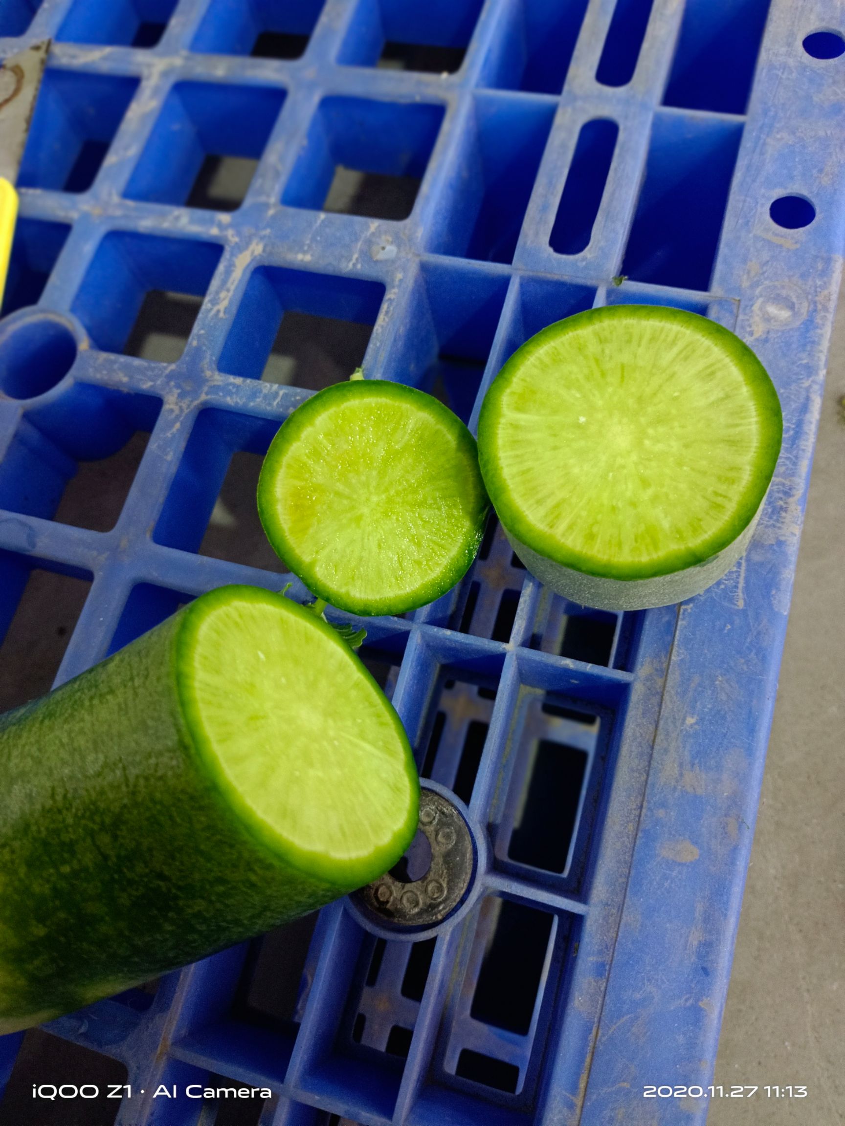 补铁的食物有哪些和水果蔬菜（蔬菜水果食物补铁有哪些）-硒宝网